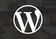 WordPress如何修改登陆页面LOGO