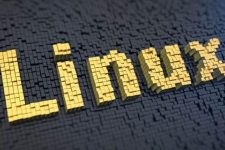 linux使用vim编辑器删除一行或者多行内容